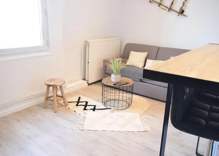 Fashion Appart - Hyper Centre - Tram - Free Wifi - Lerelaisdodile22